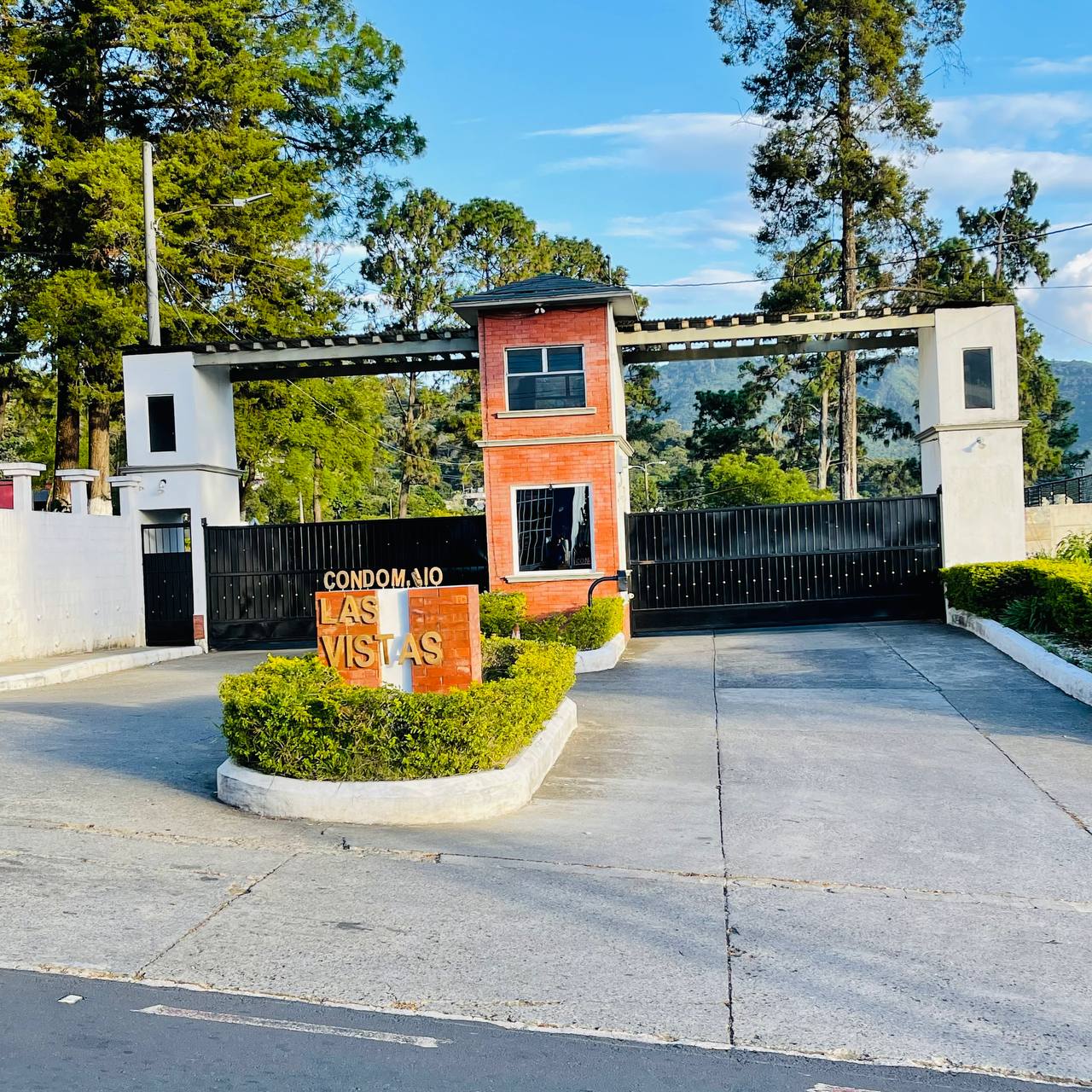 Miniatura 19